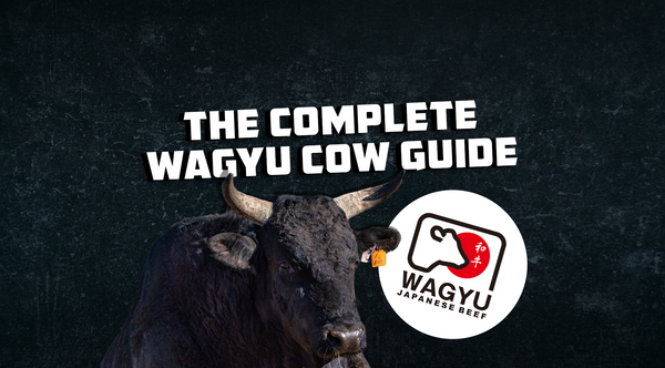 De Complete Wagyu-Koe Gids: alles wat je moet weten over Wagyu-koeien